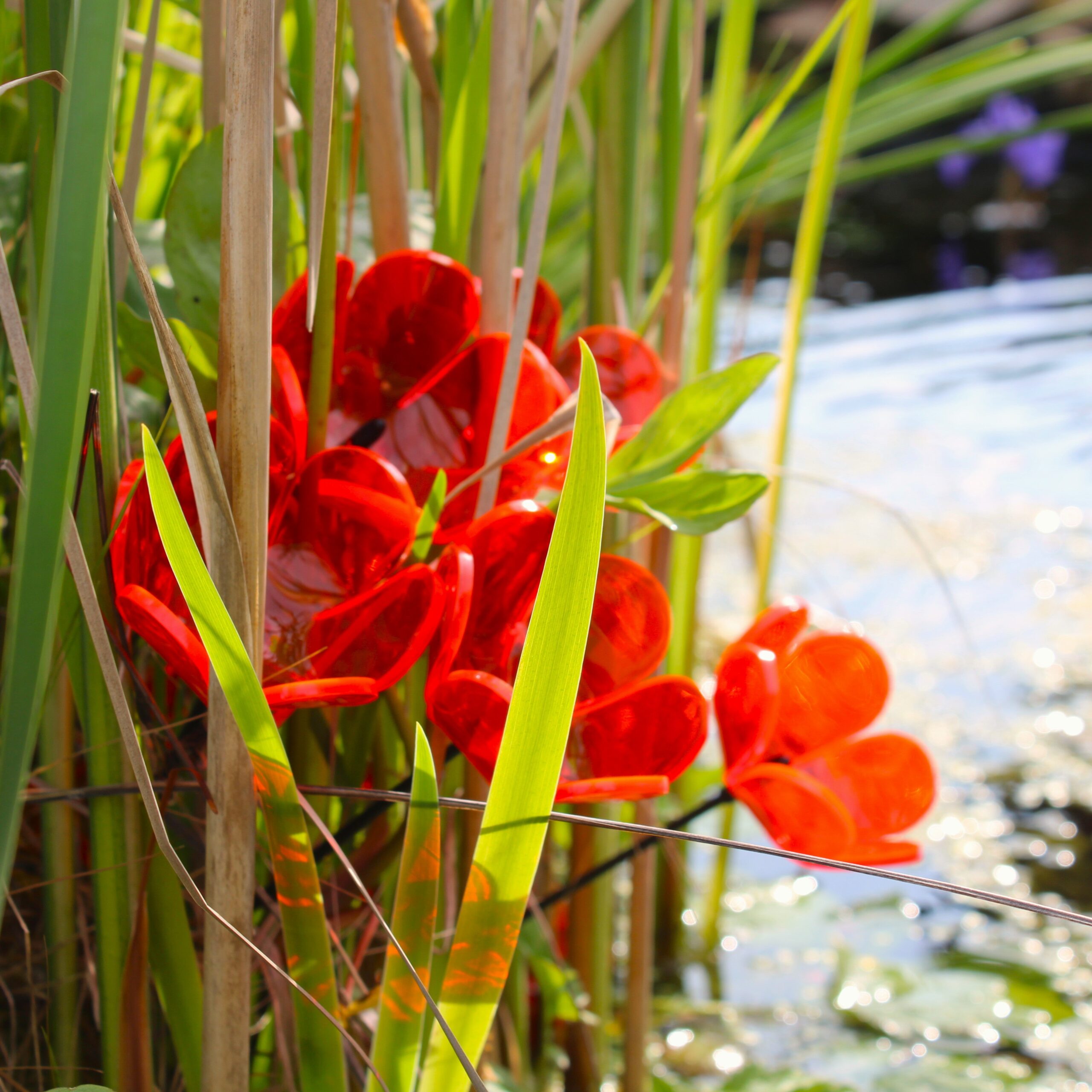 Small SunCatcher Garden Décor Ornament Set of 5 'Tulip' - Image 5