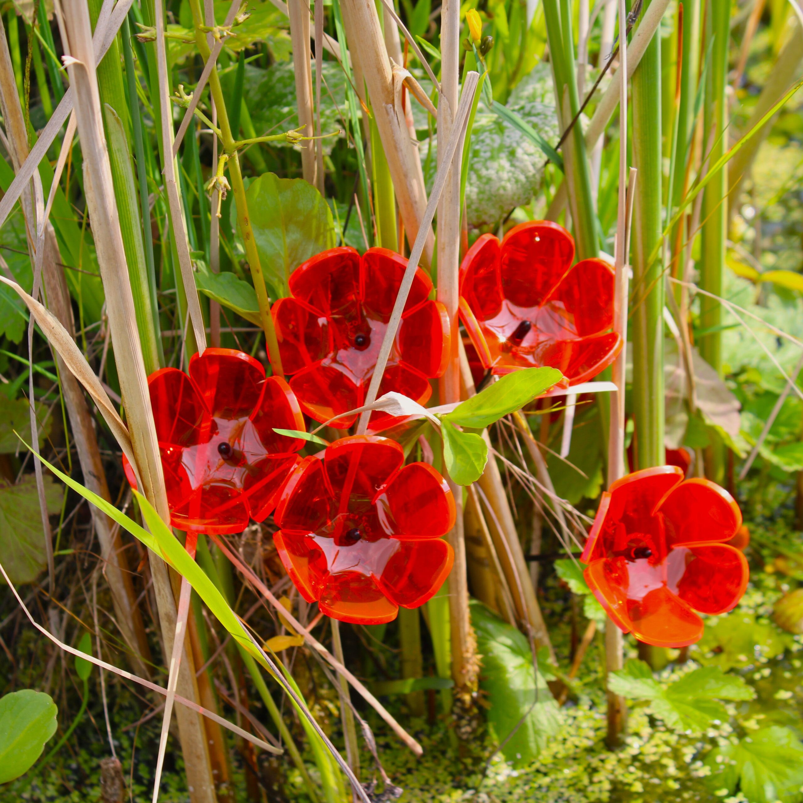 Small SunCatcher Garden Décor Ornament Set of 5 'Tulip' - Image 7